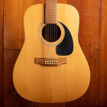 Norman B20 12-string, Ophalen of Verzenden, Nieuw