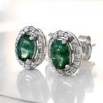 Zonder minimumprijs - Oorbellen - 14 karaat Herkomst:, Nieuw