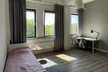 Studio Prins Willem-Alexanderlaan in Apeldoorn, 20 tot 35 m², Overige regio's