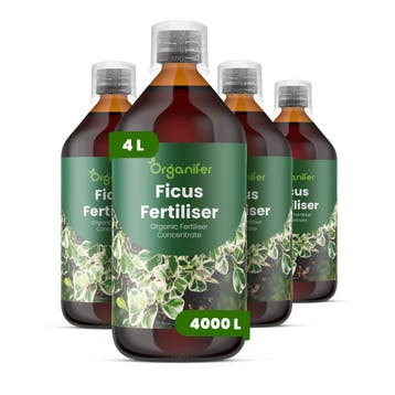 Ficus Vloeibare meststof - 4x1 liter, Verzenden, Mest