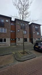 Te huur: Huis Pieter Breughelstraat in Bergen op Zoom, Huizen en Kamers, Huizen te huur, Bergen op Zoom, Noord-Brabant