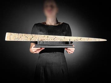 GEEN RESERVEPRIJS - Indrukwekkende grote, gedetailleerde en