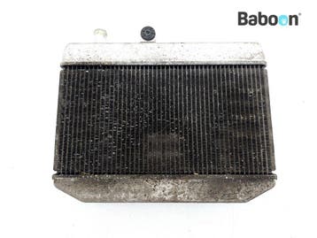 Radiateur Suzuki AN 400 Burgman 2007-2017 (AN400), Verzenden, Gebruikt