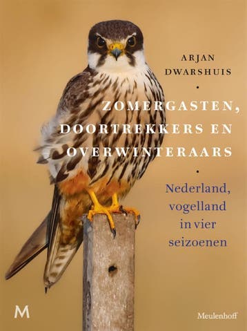 Zomergasten, Doortrekkers En Overwinteraars | Nieuw, Boeken, Ophalen of Verzenden, Nieuw, Arjan Dwarshuis