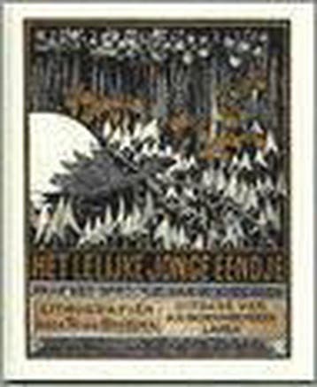 Het Lelijke Jonge Eendje - T. van Hoytema 9789061010111, Verzenden, Gelezen, T. van Hoytema