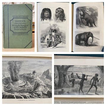 Charles Darwin - Journal of voyage of HMS Beagle - 1890