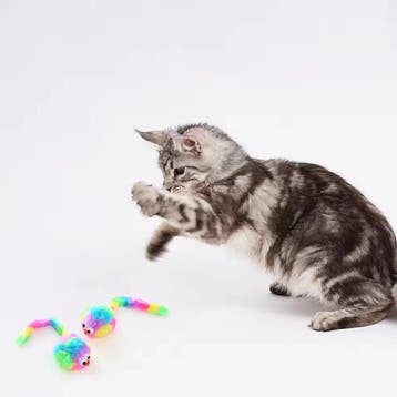 Regenboog Pluche Ratten Speeltje Duurzaam Kattenspeelgoed, Verzenden, Nieuw