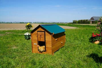 Polly Classic XL / Cucciolotta Trespa Kippenhok, Ophalen of Verzenden, Nieuw