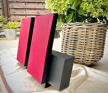 Bang & Olufsen - BeoLab 2500 - Actieve luidsprekers, Audio, Tv en Foto, Stereo-sets, Nieuw