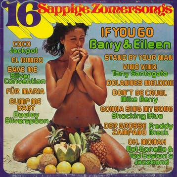 Various - 16 Sappige Zomersongs, Ophalen of Verzenden, Gebruikt
