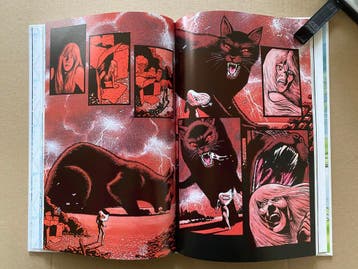 Graphic Novel - Verhaal v/e slecht rat omgaan met je demonen, Ophalen of Verzenden, Zo goed als nieuw, Boek of Spel