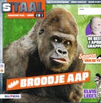 Staal versie 2 Magazine Taal Broodje Aap groep 6, Boeken, Verzenden, Nieuw