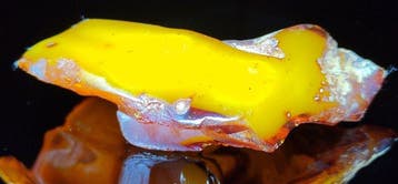 Baltisch amber - Hoogwaardige AAA- 48.92 g