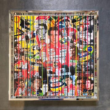 Elmago - Ayrton senna legend driver f1 codebarre (large)