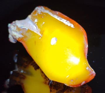 Baltisch amber - Hoogwaardige AAA- 37.7 g