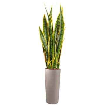 Sansevieria kunstplant, H115cm, Ophalen of Verzenden, Overige soorten, 100 tot 150 cm
