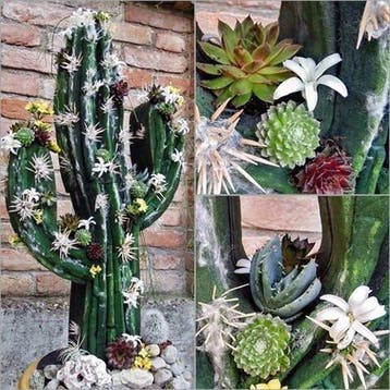 Oasis® black bioline cactus grote zwarte 38 x 74 11 cm, Ophalen of Verzenden, Nieuw