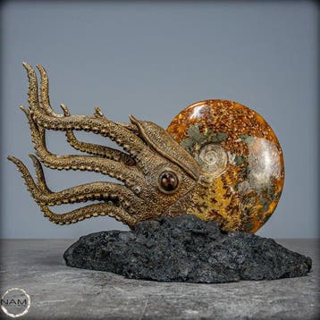 Natuurlijke ammoniet verbonden met meesterlijke Kunst-, Verzamelen, Mineralen en Fossielen