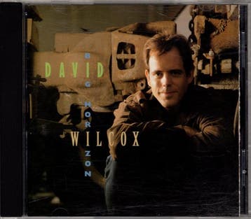 cd - David Wilcox - Big Horizon, Verzenden, Zo goed als nieuw