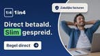 zakelijke facturen direct betaald, jij betaalt in 4x terug, Diensten en Vakmensen, Geld en Leningen
