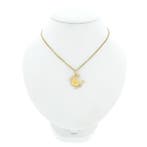 Gouden sterrenbeeld hanger; Kreeft (Hanger of bedel), Ophalen of Verzenden, Gebruikt, Goud, Overige merken