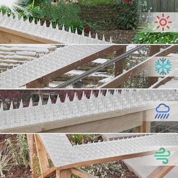 Set van 10, 20 of 30 Anti-Vogel Prikkers - Duurzame PVC Spik