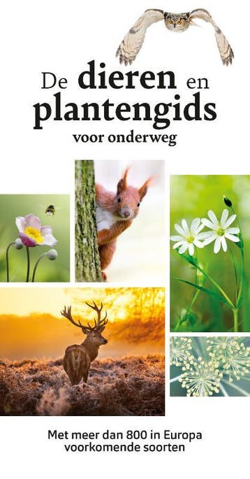 De dieren- en plantengids voor onderweg - Wilhelm Eisenreich, Verzenden, Zo goed als nieuw, Wilhelm Eisenreich