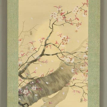 Hazy Moon and Cherry Blossoms with Original Box (Tomobako) -