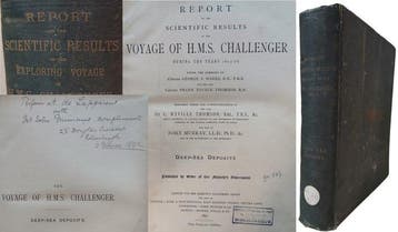 John Murray & A.F. Renard - Report of the scientific results
