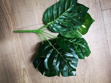 Monstera Blad Medium Zijdenbloem Botanical Style, Ophalen of Verzenden, Nieuw