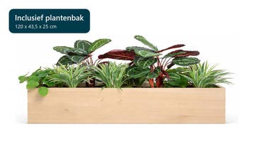 Kunstplantenpakket Friesland met plantenbak, 120 cm, Huis en Inrichting, Ophalen of Verzenden, Overige soorten, 100 tot 150 cm
