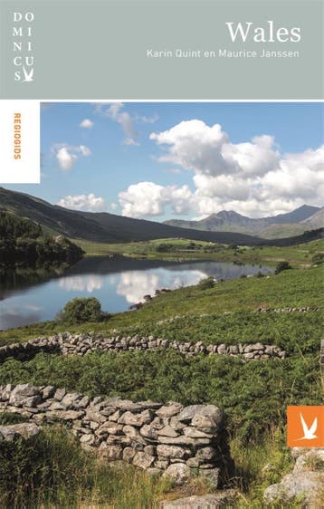 Wales / Dominicus Regiogids - Maurice Janssen 9789025764166, Verzenden, Gelezen, Maurice Janssen