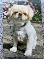 75 jaar Moerwijk – 1932 – 2007 (Den Haag), Boeken, Geschiedenis | Stad en Regio, Verzenden, Bonny van der Burg, Ed Hofschreuder en Desiree Hades