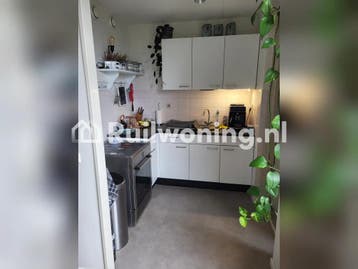 Hoekhuis, met voor en achtertuin, achter zicht op weiland., Drenthe