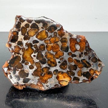 SERICHO meteoriet palasiet gepolijst EIND VAN DE COUPE -, Verzamelen, Mineralen en Fossielen