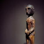 Figuur debat levend - Batak - Indonesië