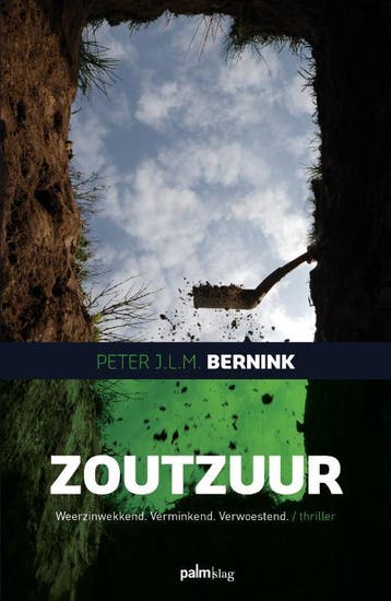 Zoutzuur | Peter J.L.M. Bernink | Nieuw, Boeken, Ophalen of Verzenden, Nieuw, Peter J.L.M. Bernink