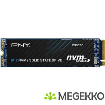 PNY SSD CS1030 500GB, Computers en Software, Harde schijven, Verzenden, Nieuw, PNY