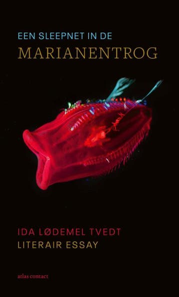 Een sleepnet in de Marianentrog - Ida Lødemel Tvedt, Verzenden, Zo goed als nieuw, Ida Lødemel Tvedt