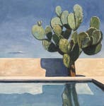 Alexy Berthelot - Expressive giant cactus pool