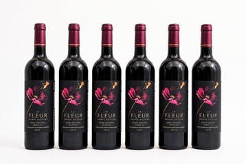2024 Château La Fleur Sainte Victoire - Saint-Émilion Grand, Nieuw