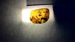 Amber - Fossiele cabochon - 31 mm - 24 mm (Zonder