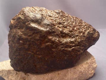 Chondriet Chondrite meteoriet - 713 g - (1), Verzamelen, Mineralen en Fossielen