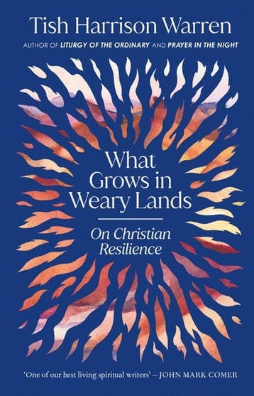 9781911764076 What Grows in Weary Lands Tish Harrison Warren, Verzenden, Nieuw, Tish Harrison Warren