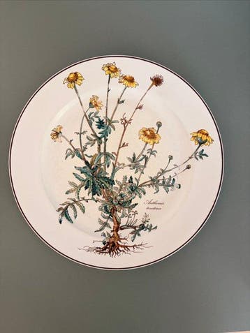 Villeroy & Boch - Tafelservies (6) - Botanica 6 x, Antiek en Kunst