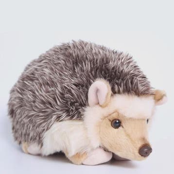 Knuffel Egel Pluche Speelgoed - Zachte Pluche Dier Pop, Cade, Dieren en Toebehoren