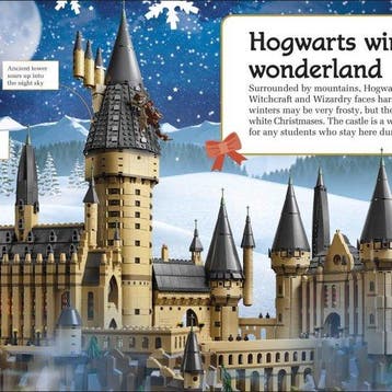 LEGO Harry Potter Hogwarts at Christmas 9780241469392 Dk, Verzenden, Zo goed als nieuw, Dk