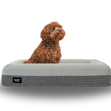 Buddy Beds Hondenmand Medium -  Orthopedisch Hondenkussen, Dieren en Toebehoren, Ophalen of Verzenden, Zo goed als nieuw