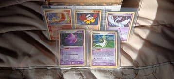 Pokémon - 5 Card, Nieuw