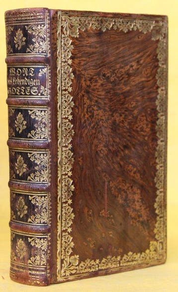 Conrad Daniel Kleinknecht - Biblia Das ist: Die ganze